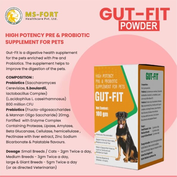 GUT-FIT - Image 2