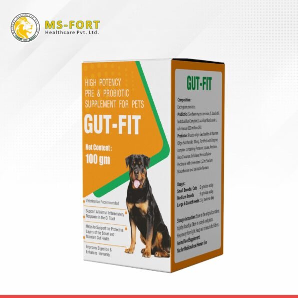 GUT-FIT